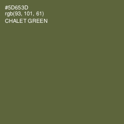 #5D653D - Chalet Green Color Image